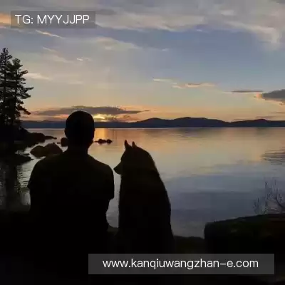 鲍秦心